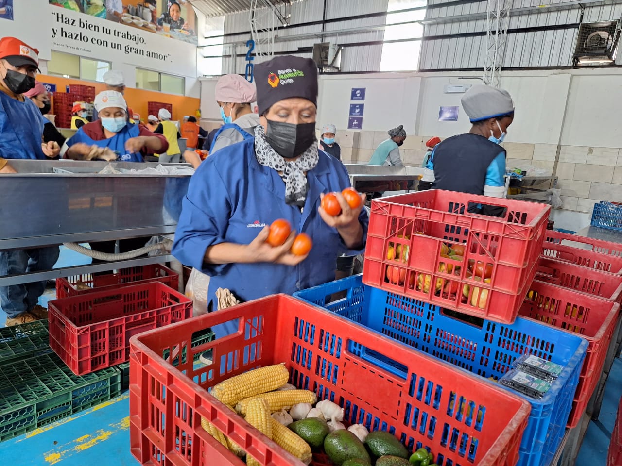 Doña Marcia realiza su labor voluntaria de clasificar los alimentos donados que llegan diariamente al Banco de Alimentos de Quito.