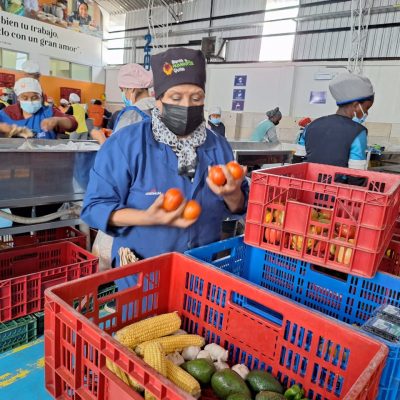 Doña Marcia realiza su labor voluntaria de clasificar los alimentos donados que llegan diariamente al Banco de Alimentos de Quito.